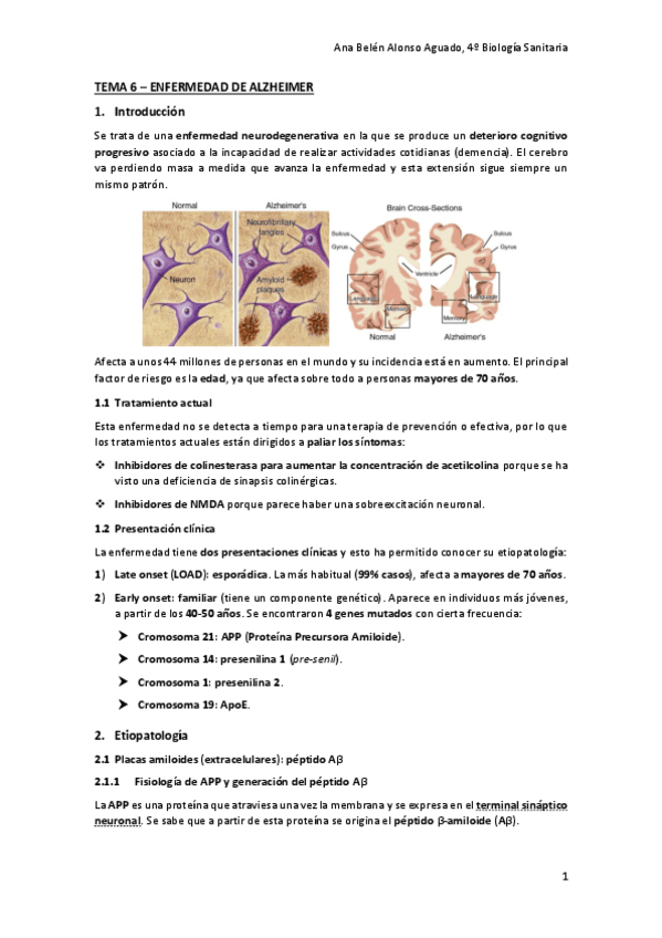 Miniatura del documento TEMA-6-ENFERMEDAD-DE-ALZHEIMER.pdf