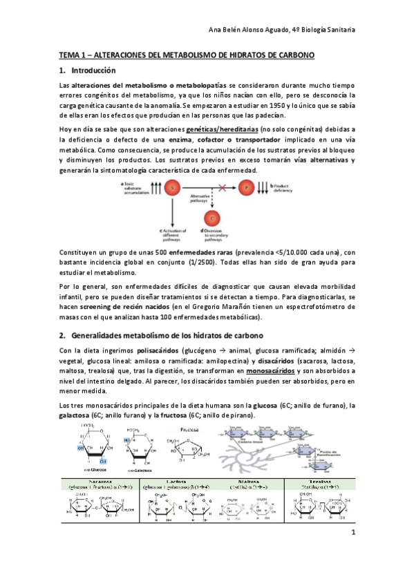 Miniatura del documento TEMA-1-ALTERACIONES-DEL-METABOLISMO-DE-HIDRATOS-DE-CARBONO.pdf