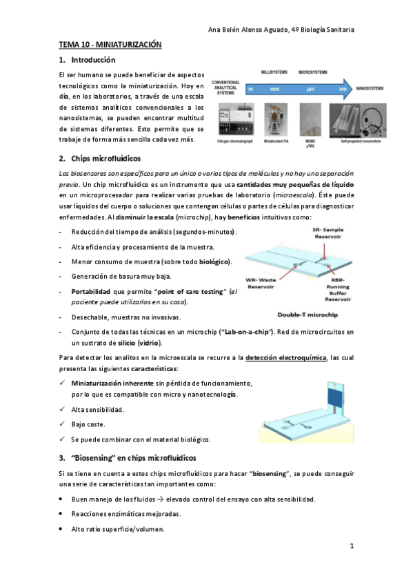Miniatura del documento TEMA-10-MINIATURIZACION.pdf