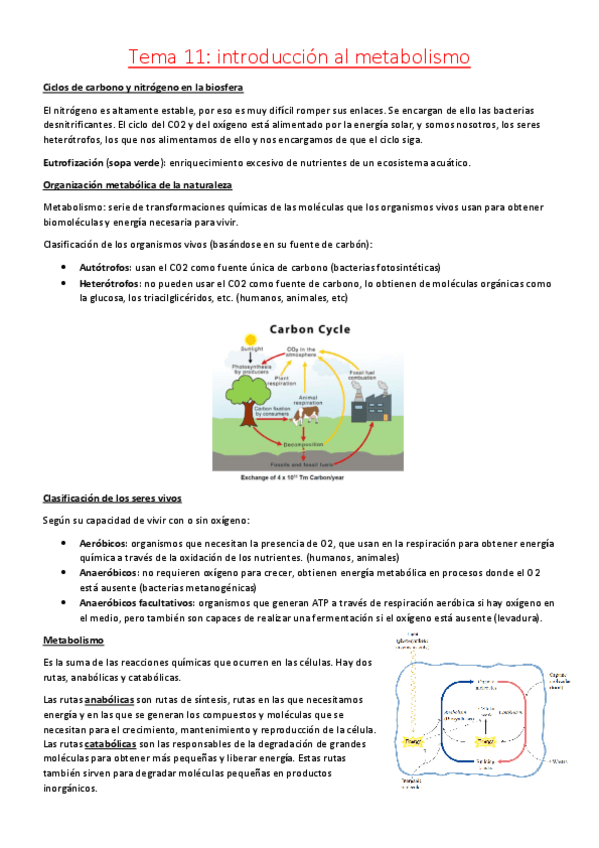 Miniatura del documento tema-11-.pdf