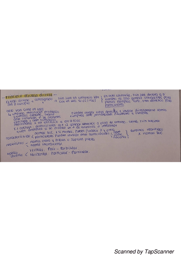 Miniatura del documento Principio-de-Eficacia-Directa-D-de-la-UE.pdf