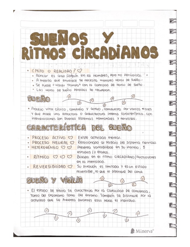 Miniatura del documento RITMOS-CIRCADIANOS.pdf