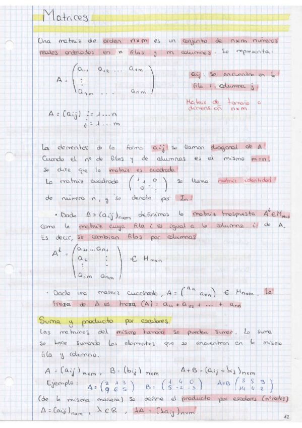 Miniatura del documento Tema-1-Matrices.pdf