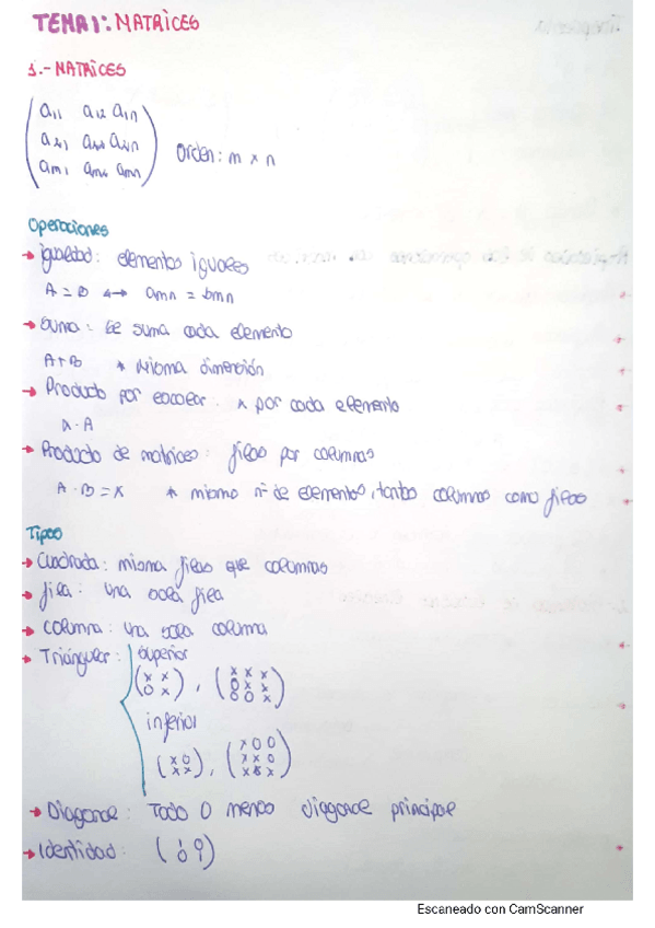 Miniatura del documento Esquema-tema-13.pdf