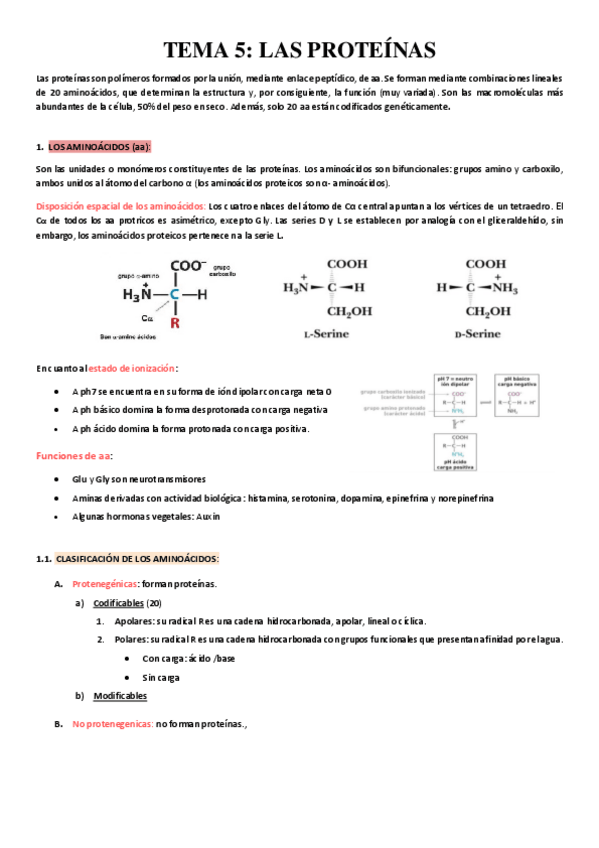 Miniatura del documento TEMA-5.pdf