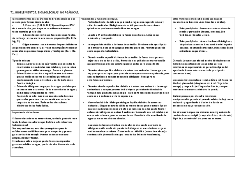 Miniatura del documento Apuntes-esquematicos.pdf