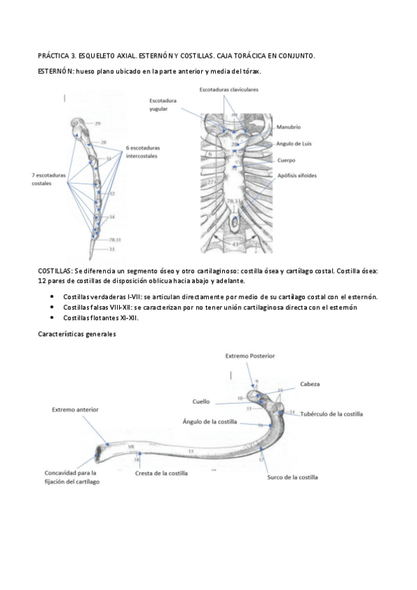 Miniatura del documento PRACTICA-3.pdf