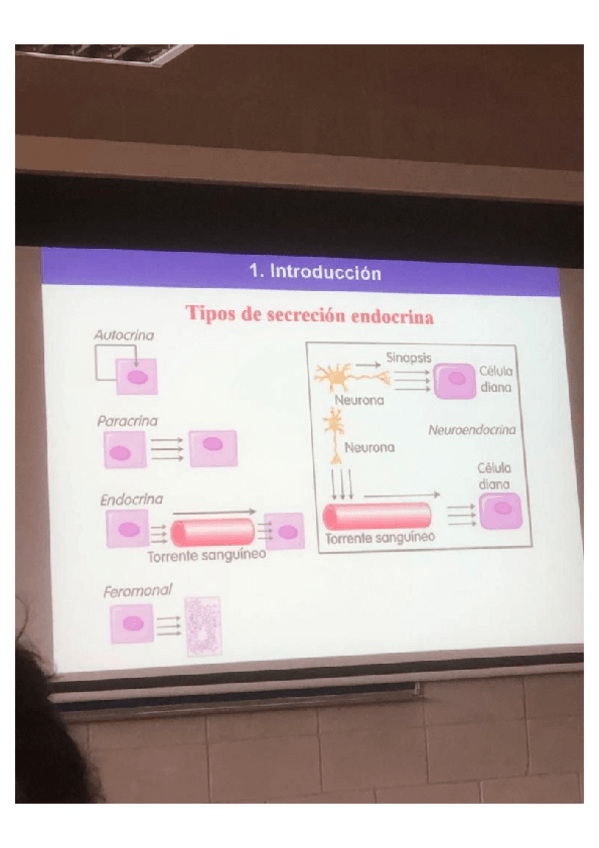 Miniatura del documento Parcial-fisiolgia.pdf