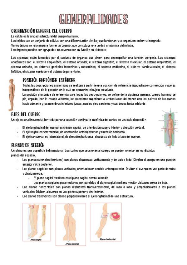 Miniatura del documento 1-Generalidades-Anatomia.pdf