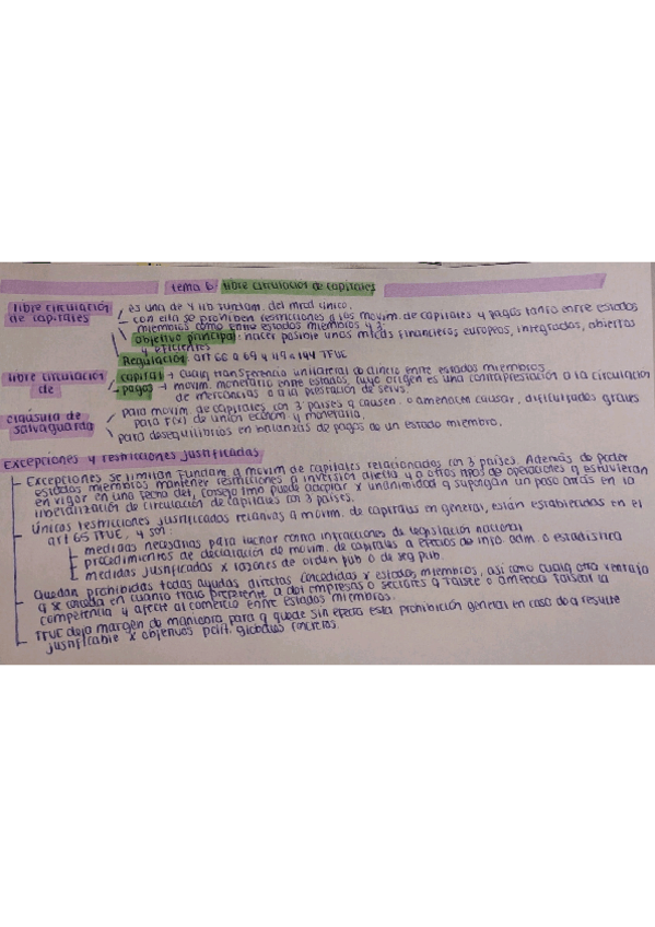 Miniatura del documento ESQUEMA-TEMA-6-POLITICAS-Y-LIBERTADES-DE-LA-UE.pdf