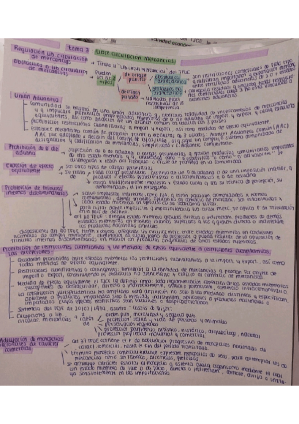 Miniatura del documento ESQUEMA-TEMA-3-POLITICAS-Y-LIBERTADES-DE-LA-UE.pdf