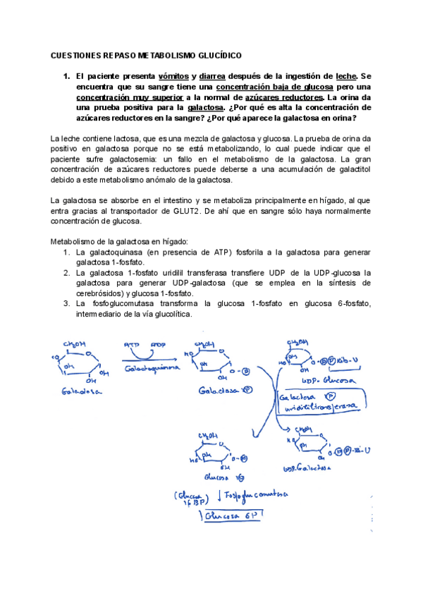 Miniatura del documento Cuestiones-metabolismo-glucidico.pdf