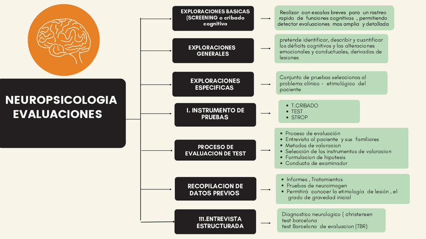 Miniatura del documento NEUROPSICOLOGIA.pdf