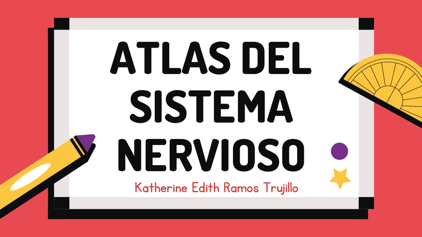 Miniatura del documento AtLas-deL-sistema-nervioso.pdf