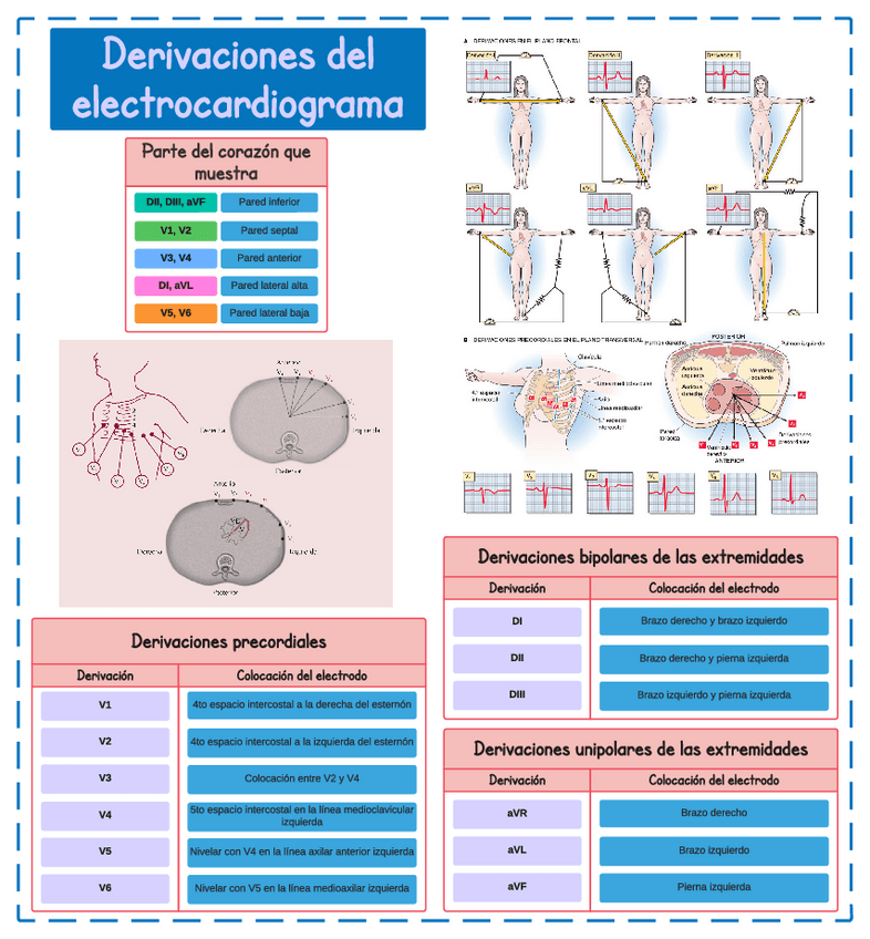 Miniatura del documento Derivaciones-del-electrocardiograma.pdf