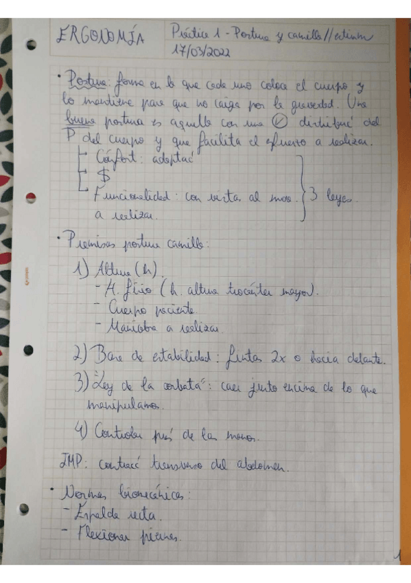 Miniatura del documento Practicas Ergonomía