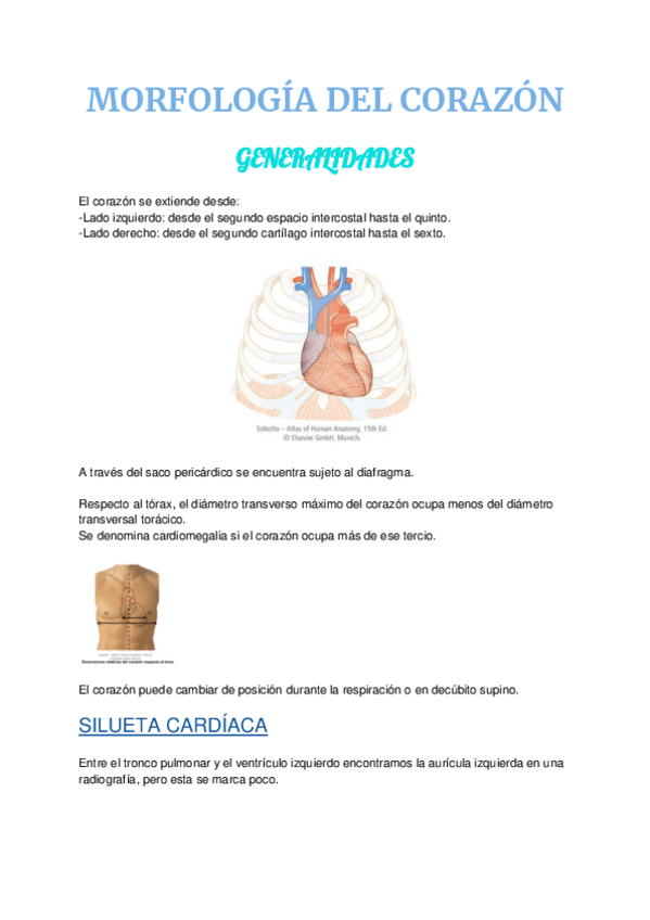 Miniatura del documento aa-MORFOLOGIA-DEL-CORAZON1.pdf