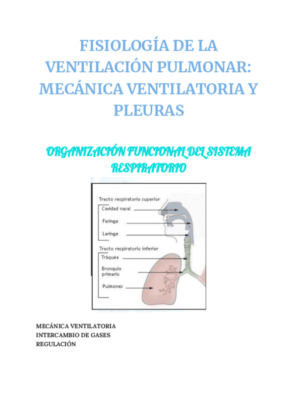 Miniatura del documento aa-FISIOLOGIA-DE-LA-VENTILACION-PULMONAR-Y-PLEURAS1.pdf