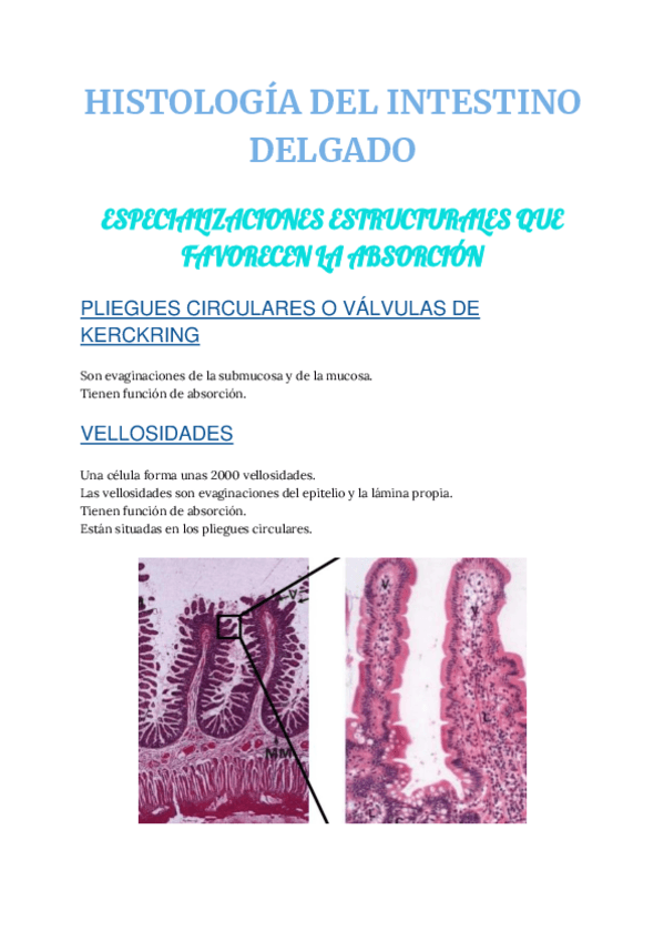Miniatura del documento ea-HISTOLOGIA-INTESTINOS1.pdf