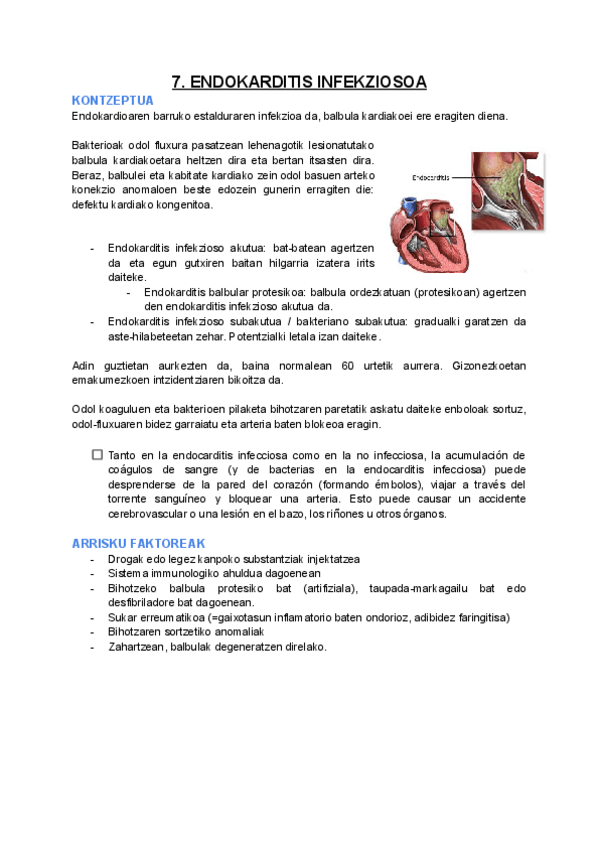 Miniatura del documento ENDOKARDITIS-INFEKZIOSOA.pdf