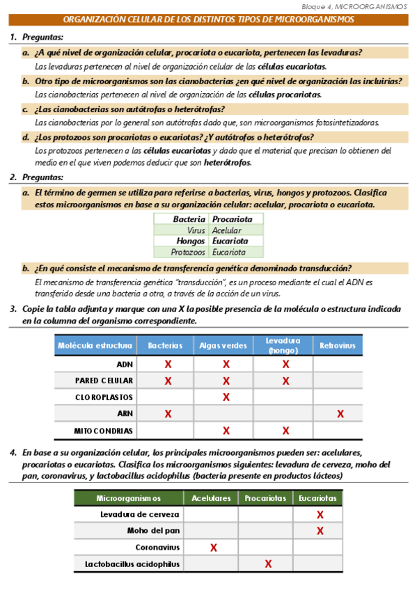Miniatura del documento BLOQUE-4-biologia-2.pdf
