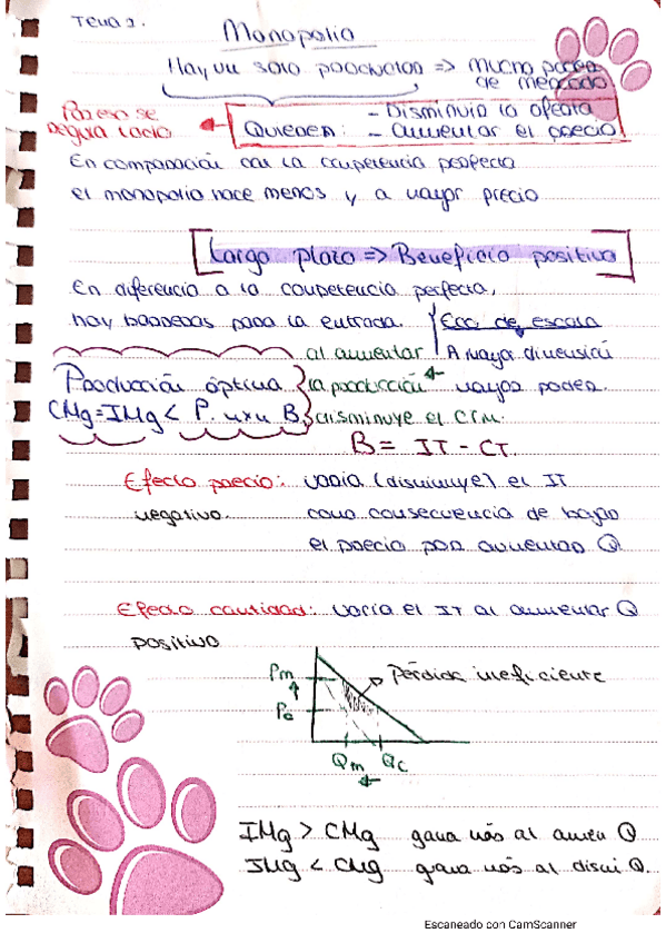 Miniatura del documento macroeconomia-microeconomia-tema-2.pdf
