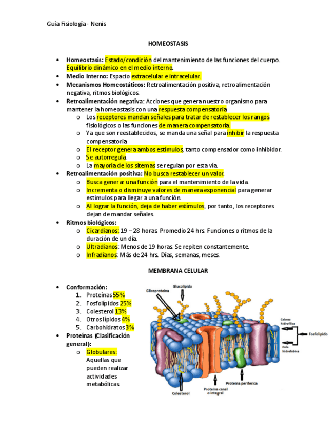 Miniatura del documento Guia-Fisio-PARCIAL-1.pdf