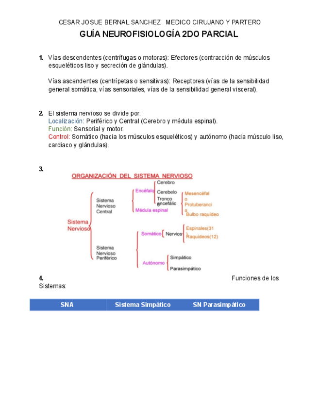 Miniatura del documento GUIA-DE-NEUROFISIOLOGIA-2-PARCIAL.pdf