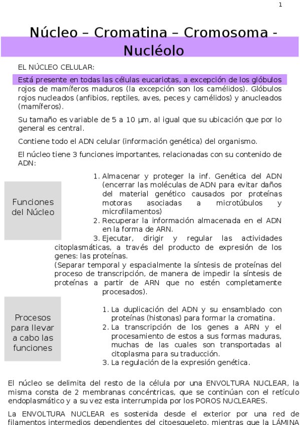 Miniatura del documento Tema-2.docx