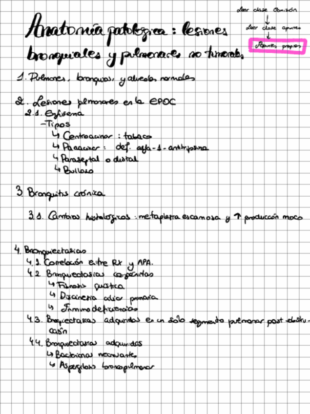 Miniatura del documento Apuntes-Respiratorio.pdf