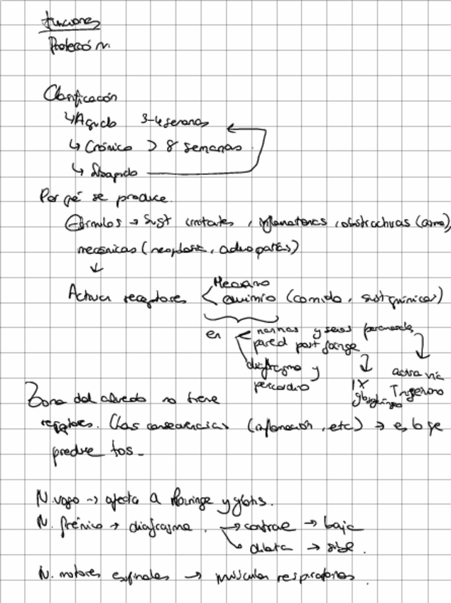 Miniatura del documento Apuntes-Seminario-11-TOS-Respiratorio.pdf