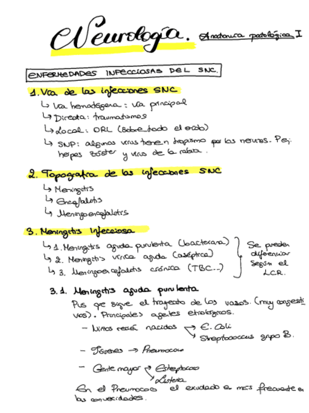 Miniatura del documento Neuro-Apuntes-Buenos.pdf