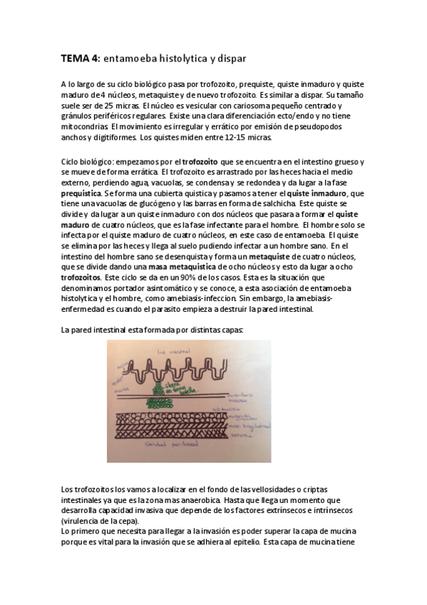 Miniatura del documento TEMA 4.pdf