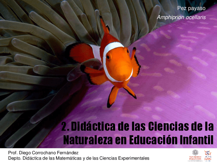 Miniatura del documento 2.pdf