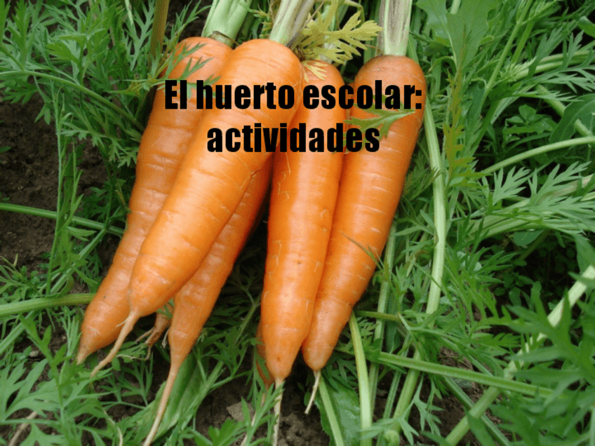 Miniatura del documento Actividades-en-el-huerto-escolar-en-Educacion-Infantil.pdf