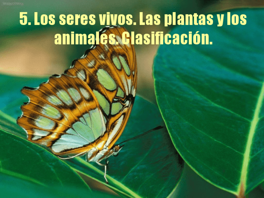 Miniatura del documento 4.pdf