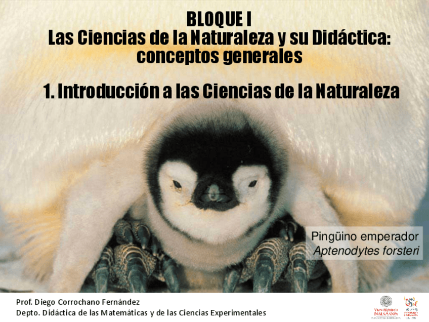 Miniatura del documento 1.pdf