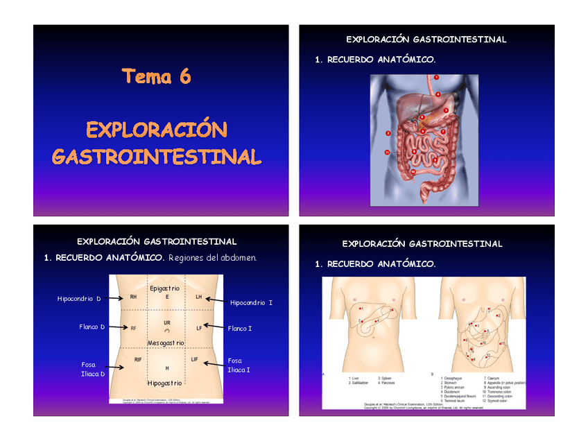Miniatura del documento ABDOMINAL.pdf