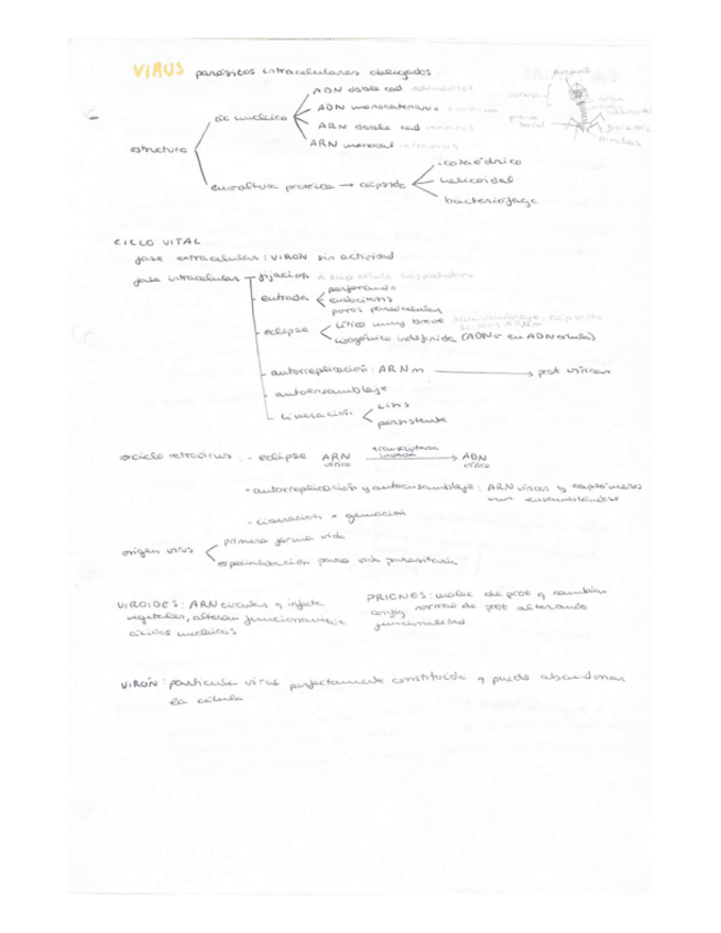 Miniatura del documento BACTERIAS.pdf