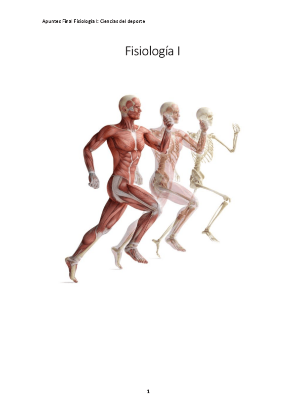 Miniatura del documento Apuntes-final-fisiologia-.pdf