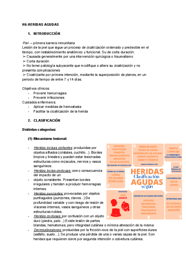 Miniatura del documento H6-HERIDAS-AGUDAS.pdf