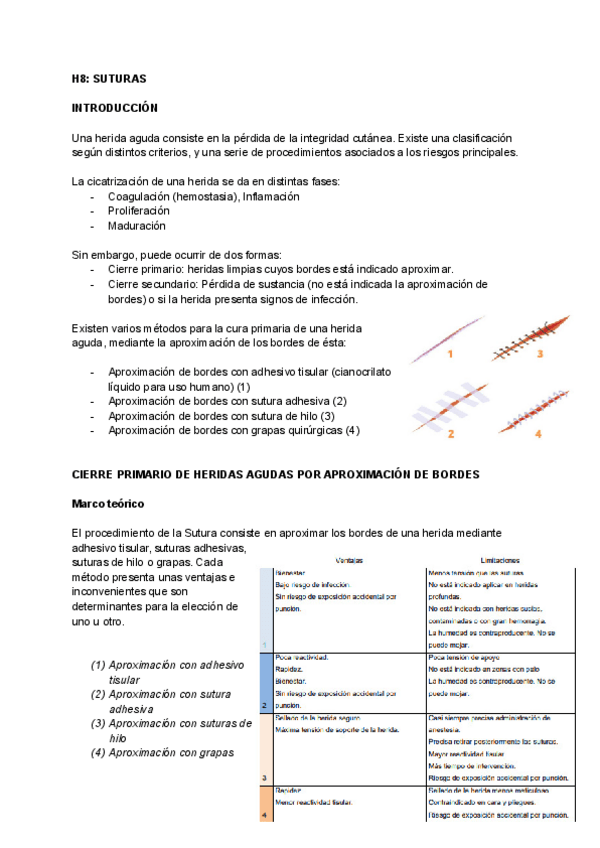 Miniatura del documento H8-SUTURAS.pdf