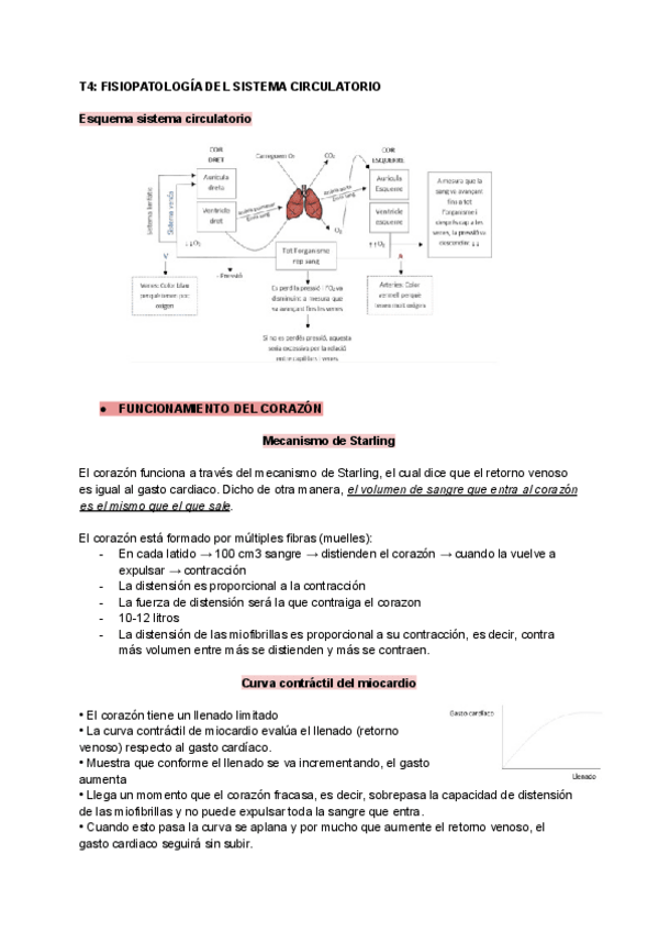 Miniatura del documento T4-FISIOPATOLOGIA-DEL-SISTEMA-CIRCULATORIO.pdf
