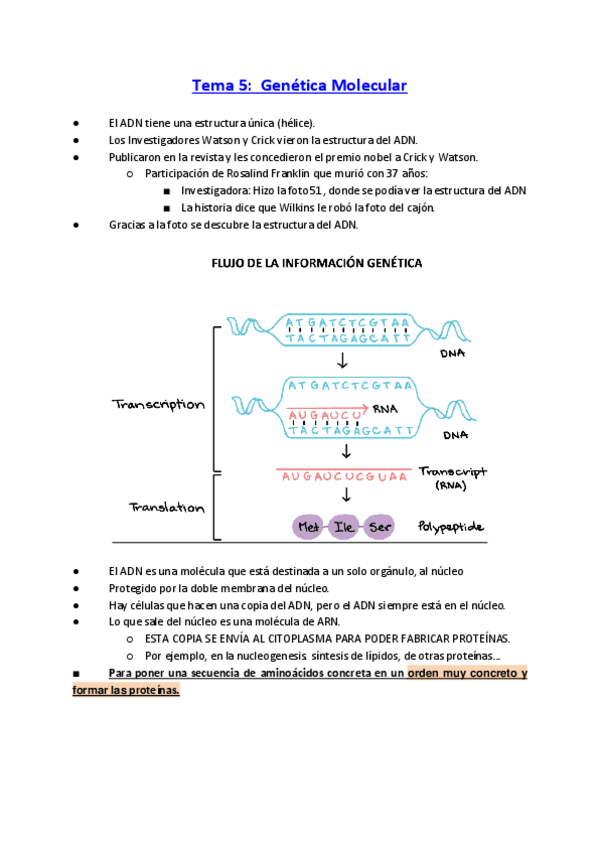 Miniatura del documento TEMA-5-Genetica.pdf