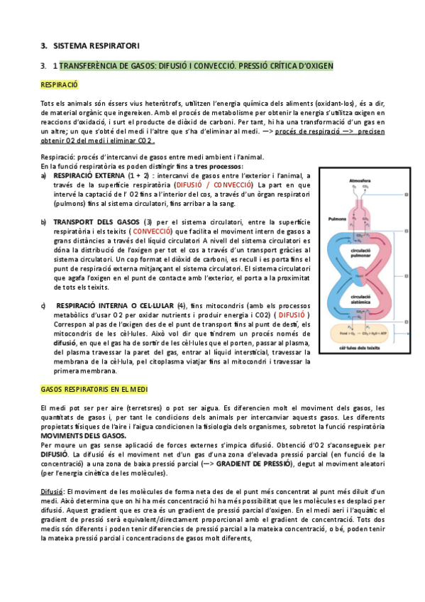 Miniatura del documento TEMES-3-I-4-RESPIRACO-BUSSEIG-CIRCULACIO.pdf