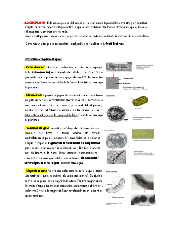 Miniatura del documento 2.pdf