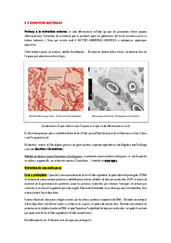 Miniatura del documento 2.pdf
