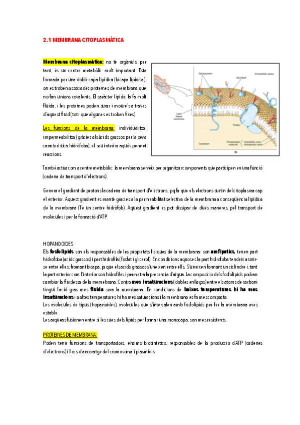 Miniatura del documento 2.pdf