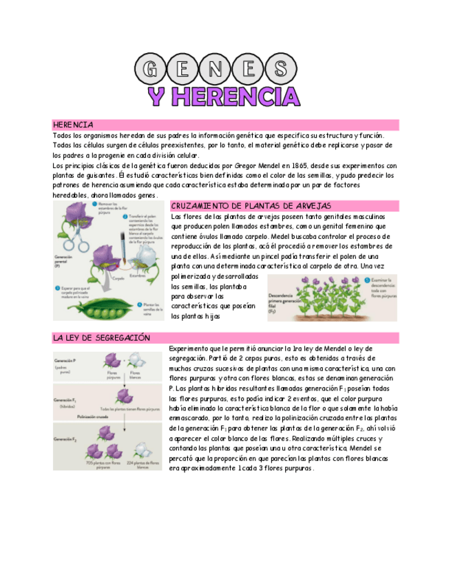 Miniatura del documento genes-y-herencia.pdf