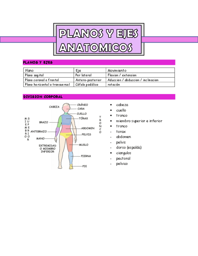 Miniatura del documento planos-y-ejes-anatomicos.pdf